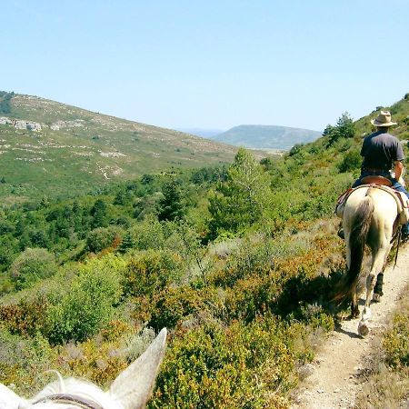 Studio Trivalle Carcassonne Ngoại thất bức ảnh