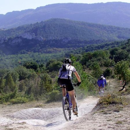 Studio Trivalle Carcassonne Ngoại thất bức ảnh